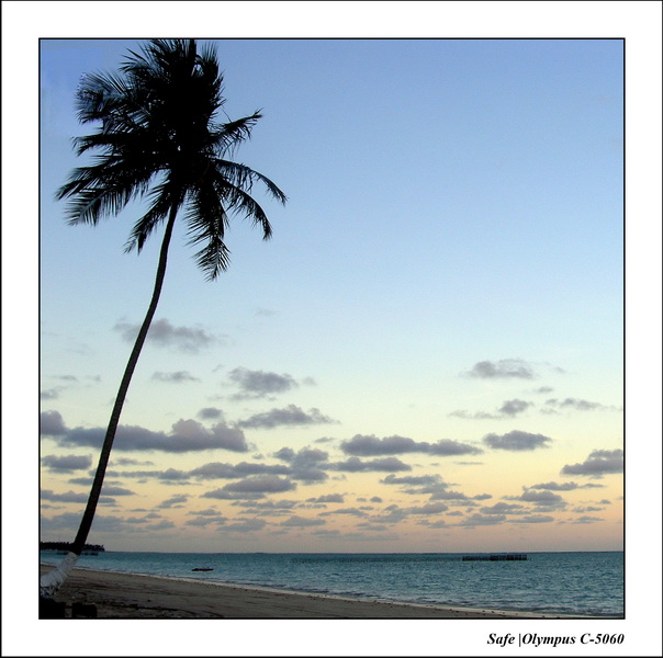 2005 - 11 - Maragogi - plage pousada 09.JPG